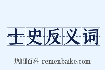 士史反义词是什么意思的图片